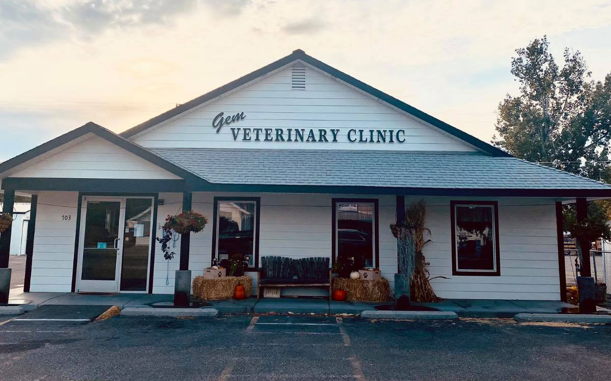 Gem Veterinary Clinic Building